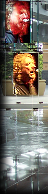 Robert Plant and The Strange Sensation, Borgata Hotel and Casino Atlantic City NJ June 19th 2005